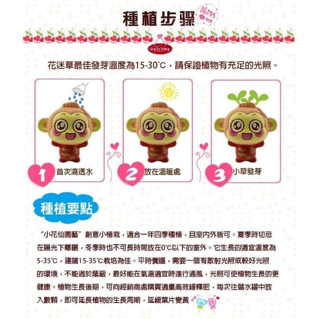 【蔬菜之家】情侶猴DIY迷你植物盆栽組合