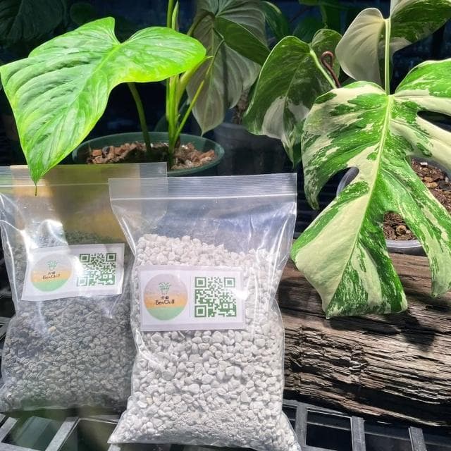 《斑啾植選》火山石｜黑｜紅｜1公升裝｜鋪面｜排水性｜混合土壤｜酸鹼值｜觀葉植物｜多肉｜盆栽｜介質