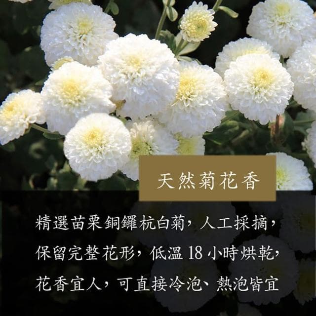 台灣菊花 黃菊 白菊 檢驗合格 當季採收(整朵90g)