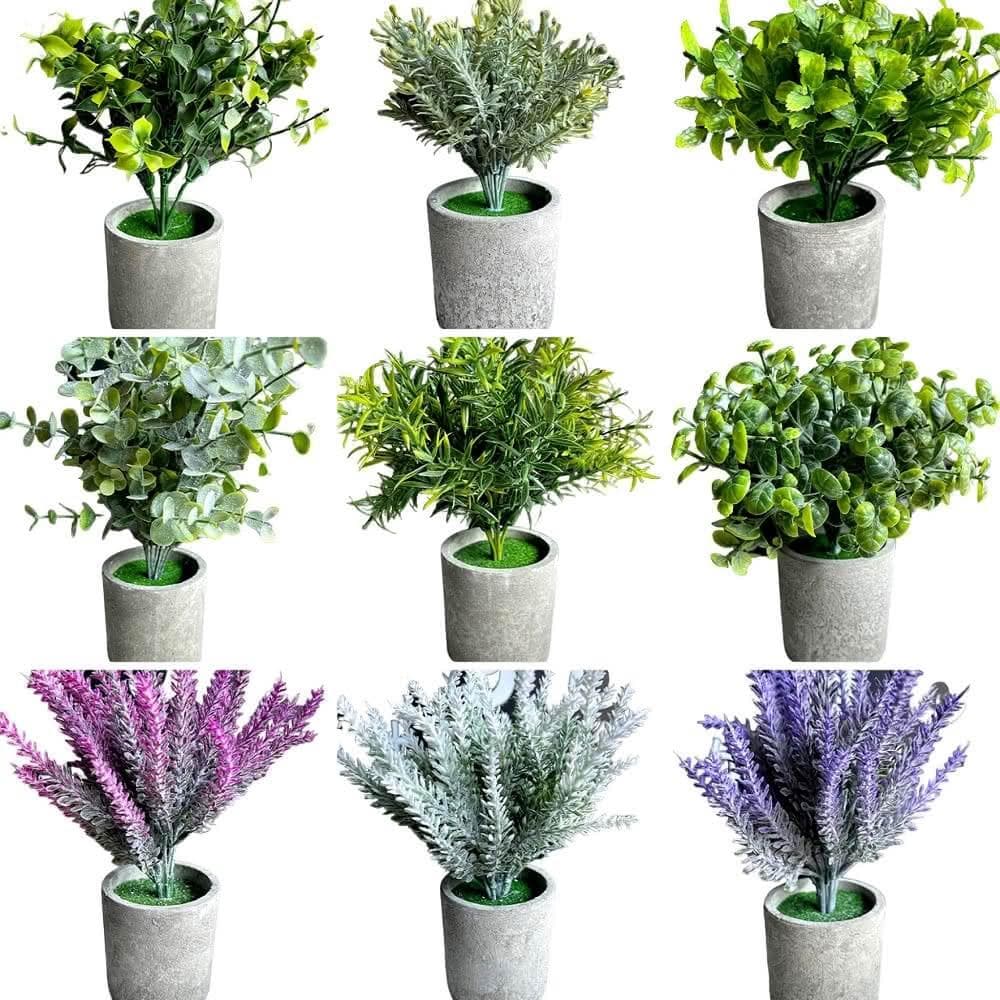 【PiNYU 品柚生活傢飾館】仿水泥假盆栽(北歐風仿水泥盆仿真植物仿真綠植物 綠化盆栽 小盆栽尤加利室內盆栽)