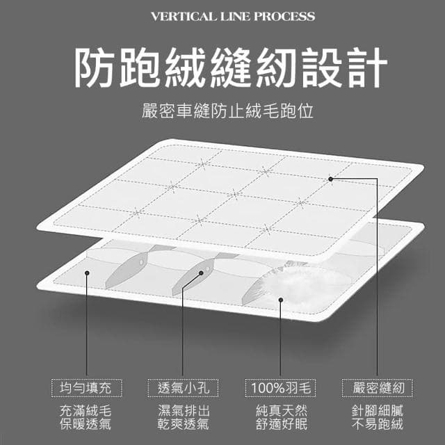 【紳娜多家居】MIT頂級飯店 羽絨100%純羽毛絨被 可乾洗 暖被 飯店棉被 羽絨棉被 羽絨被 棉被 冬被 被子