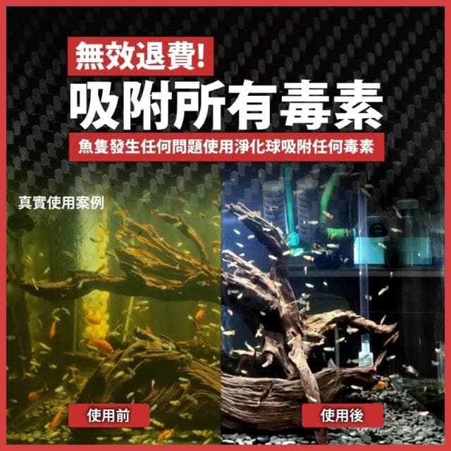 龜室｜八百萬神 水質淨化球 水質處理 水族過濾濾材 淨水寶 蛋白綿 空氣缸 改變水黃 水濁