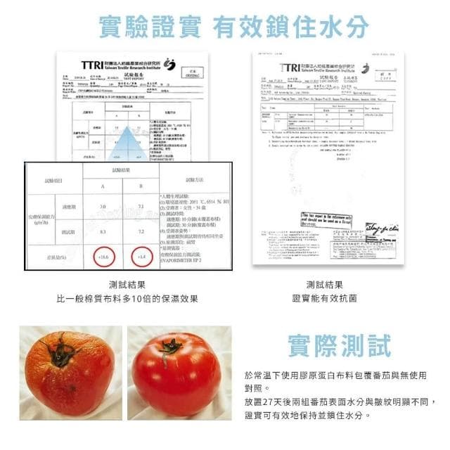 【Blue Cat 藍貓】100支膠原蛋白超涼感100%天絲床包組 兩用被套組 鎖水保濕 舒適親膚 床包 天絲床包 床單