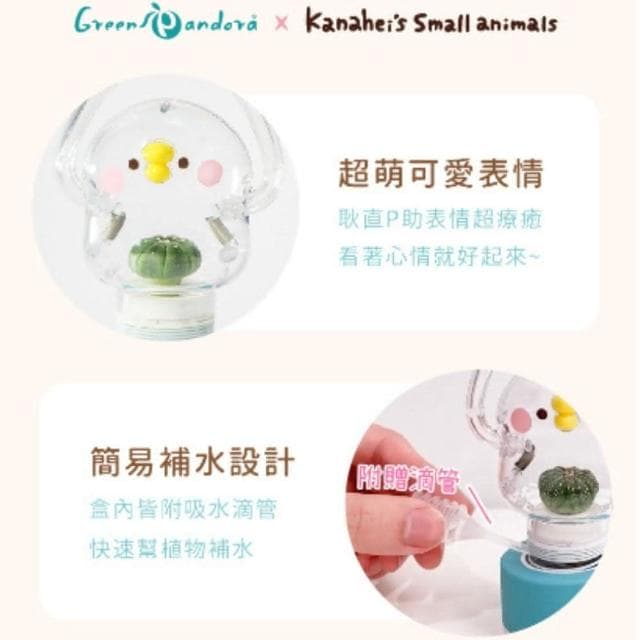 【Green Pandora】卡娜赫拉的小動物彈簧P助小植物擺飾禮物盆栽  療癒盆栽