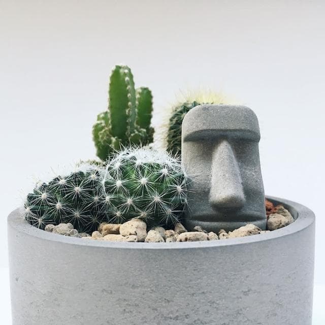 【島人手作】l 摩艾綠意花園 l 迷你仙人掌造景DIY(新年禮物 情人節禮物 生日禮物)