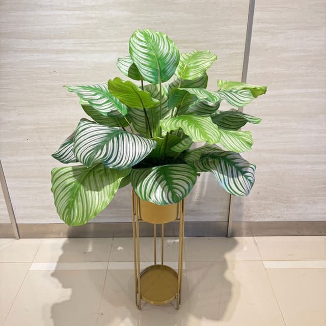 【HUGO DECO 榆果傢飾】高擬真蘋果竹芋葉植栽 免運專人配送限雙北市佈置/仿真植物/綠化/落地植物