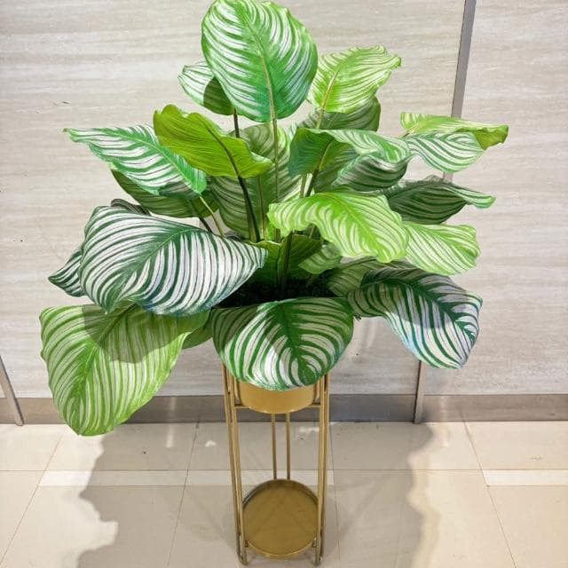 【HUGO DECO 榆果傢飾】高擬真蘋果竹芋葉植栽 免運專人配送限雙北市佈置/仿真植物/綠化/落地植物