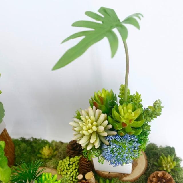 【HUGO DECO 榆果傢飾】春雨葉多肉香氛植栽擬真植物/人造盆栽/綠化/佈置/禮物