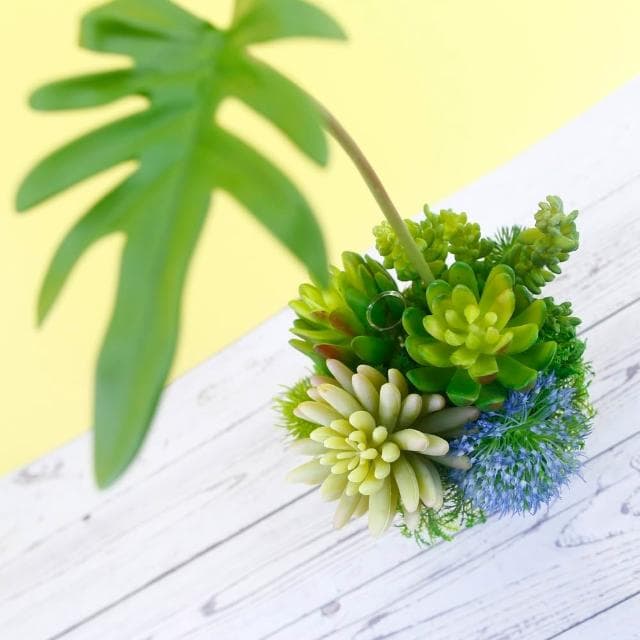 【HUGO DECO 榆果傢飾】春雨葉多肉香氛植栽擬真植物/人造盆栽/綠化/佈置/禮物