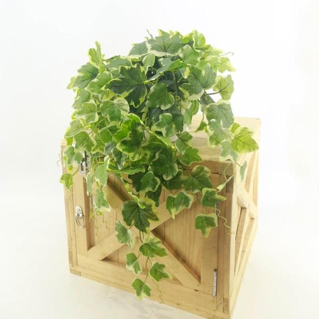 【HUGO DECO 榆果傢飾】高擬真綠白邊長春藤植栽(環境綠化/擬真植栽/藤蔓植物/居家佈置)