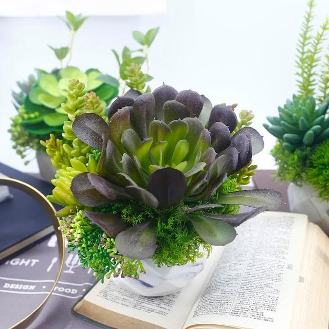 【HUGO DECO 榆果傢飾】黑法師多肉香氛盆栽(擬真植物/人造盆栽/綠化/佈置/禮物)