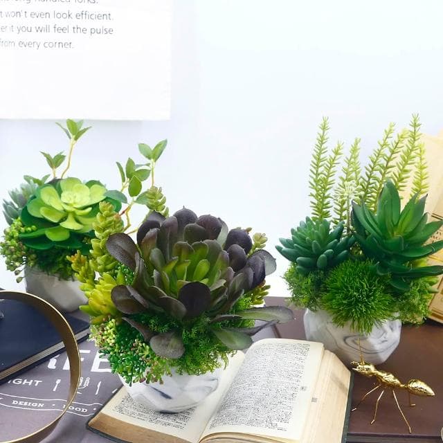 【HUGO DECO 榆果傢飾】黑法師多肉香氛盆栽(擬真植物/人造盆栽/綠化/佈置/禮物)