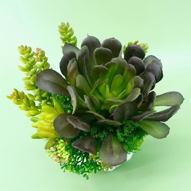 【HUGO DECO 榆果傢飾】黑法師多肉香氛盆栽(擬真植物/人造盆栽/綠化/佈置/禮物)