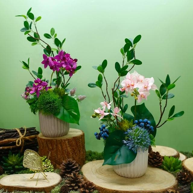 【HUGO DECO 榆果傢飾】雅緻粉蝴蝶蘭榕枝香氛花禮(擬真植物/人造盆栽/綠化/佈置/禮物)