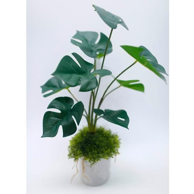 【HUGO DECO 榆果傢飾】擬真龜背芋 電信蘭香氛植栽 高款(擬真植物/人造盆栽/綠化/佈置/禮物)