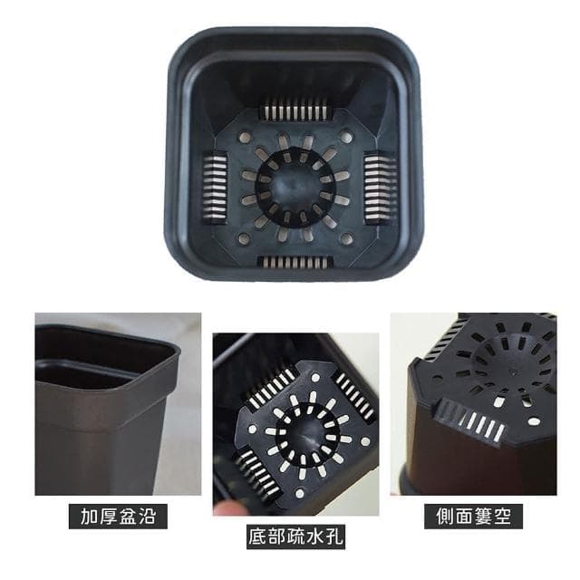 【Gardeners】多肉加厚透氣矮方盆10.5cm-10入植物盆栽園藝盆器方盆