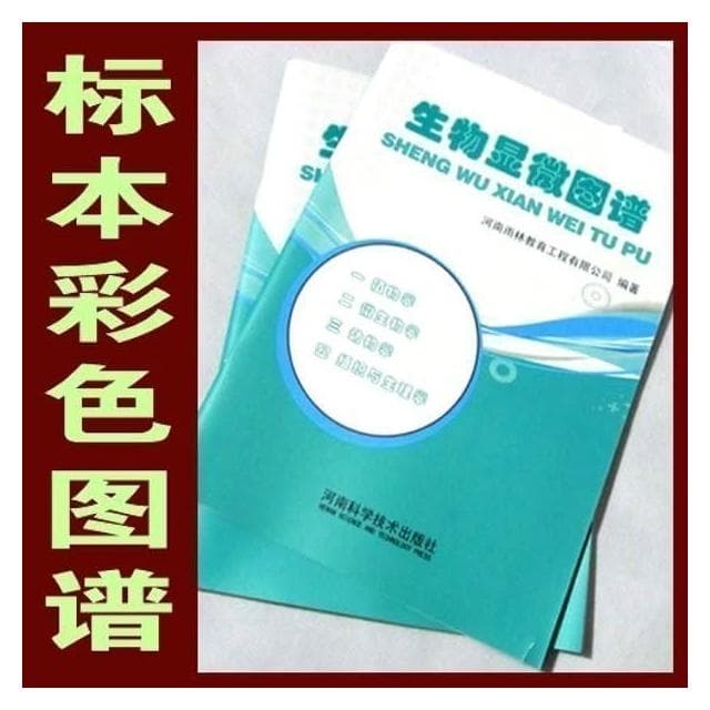 5Cgo🏆兒童最佳生日禮物 木盒裝 顯微鏡用中英對照生物切片標本100種 + 生物玻片標本彩色圖譜 中小學生教學課本(內容與標本玻片不同步)