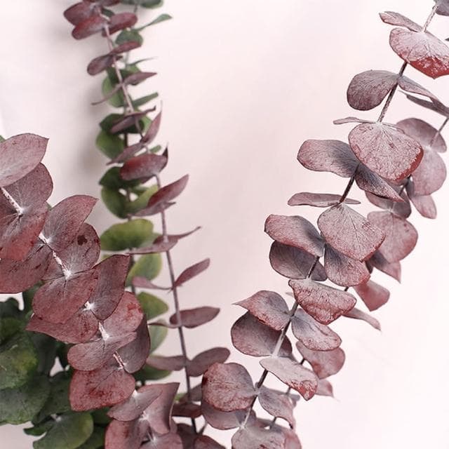 【BlueCat】天然乾燥尤加利葉(乾花 乾燥花 天然植物 景觀植栽 花材裝飾 居家佈置 園藝花藝)