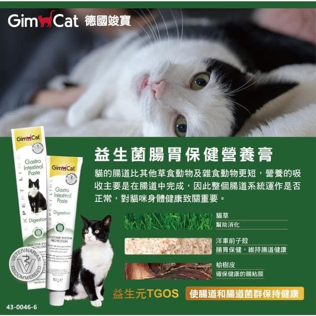 【Gimpet 竣寶】腸胃保健營養膏 50g(腸胃保健 貓咪保健 補充維他命 貓咪保養品)