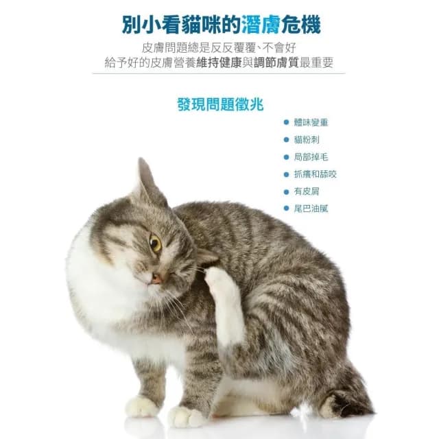 【MORESON 木入森】貓咪護膚保養 25包/盒 膚立好(皮毛保健 護膚亮毛 貓咪保健品 貓咪保養品)