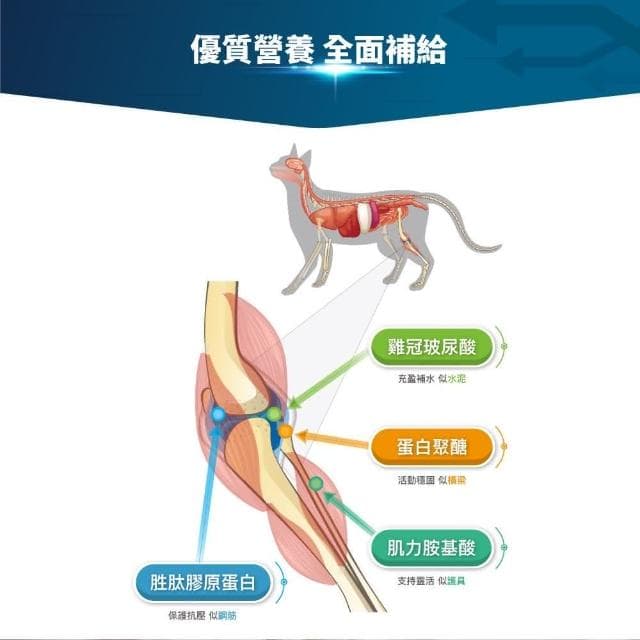 【MORESON 木入森】貓咪關節保健 60顆/盒 有關膝(骨骼保健 補充營養 貓咪保健品 貓咪保養品)
