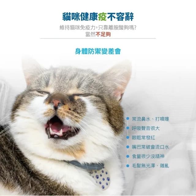 【MORESON 木入森】貓咪維持免疫力 60顆/盒 護疫升(補充營養 貓咪保健品 貓咪保養品)