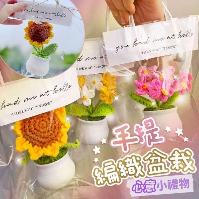 PARTIDO  手提編織小盆栽禮袋-多款(生日 母親節 七夕情人節 求婚告白 畢業 禮物 氣球 布置 拍照道具)