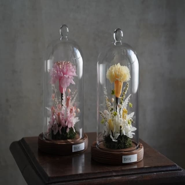 永生花玻璃罩 母親節禮物 康乃馨 乾燥花(永生花 乾燥花 母親節 禮物 媽媽生日)