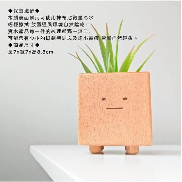 【Monarch 尊爵家】療育小盆獸盆栽(原木文創 台灣設計 花盆 盆栽 植栽 多肉 植物 花器 室內小盆栽 交換禮物)
