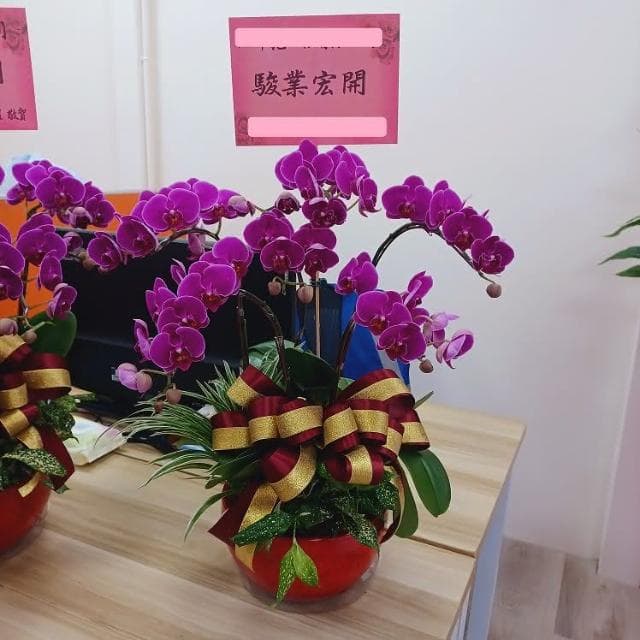 {宇璐花卉} 蝴蝶蘭組合盆栽/開幕開市/榮升榮調/喬遷/會員大會/競選總部成立/物品所在地台北市