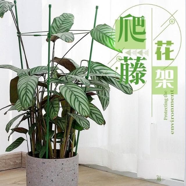 爬籐花架 盆栽支撐架 藤蔓支架 爬藤架 花盆架 植物架 攀爬架 爬藤杆 環狀爬藤架 球型花架 園藝花架 支柱
