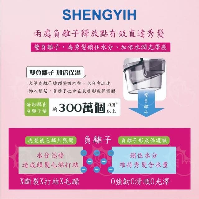 SHENGYIH 台灣製 沙龍級ION雙負離子吹風機(護髮大風量三段溫控)