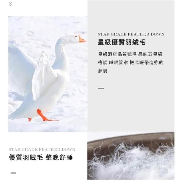 羽絨被 加厚保暖冬被芯 100白鵝絨羽毛被 100S全棉防羽面料羽絨被（蓬松保暖 方格鎖絨180*220CM  ）
