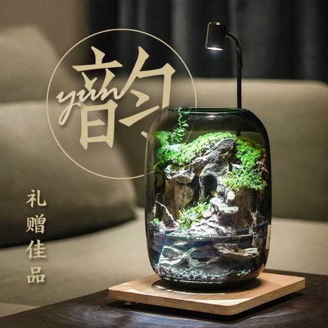 免運 青苔盆栽 盆栽 蘚微景觀生態瓶 辦公室盆栽 內桌面養魚綠植盆栽 造景觀植物盆栽 花盆