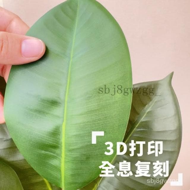 免運費 仿真綠植橡皮樹假綠植輕奢北歐客廳臥室裝飾落地式橡皮樹植物盆栽
