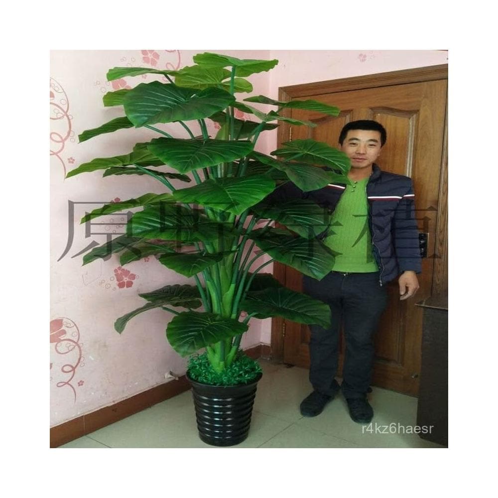 可開發票 假樹滴水觀音綠植仿真植物落地盆栽大型客廳盆景假花裝飾塑料花藝