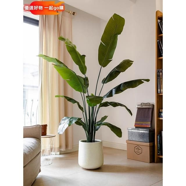 仿真綠植 芭蕉樹 天堂鳥 盆景 仿真植物 室內 仿真樹 大型裝飾 擺件 花器 園藝裝飾 仿真芭蕉葉 仿真盆栽