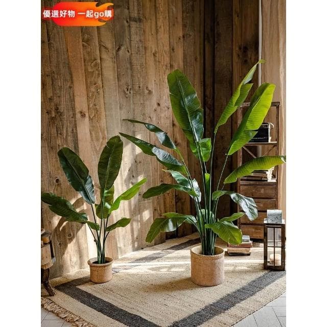 仿真綠植 芭蕉樹 天堂鳥 盆景 仿真植物 室內 仿真樹 大型裝飾 擺件 花器 園藝裝飾 仿真芭蕉葉 仿真盆栽