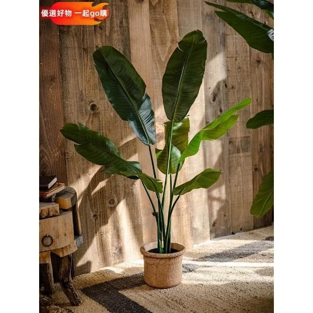 仿真綠植 芭蕉樹 天堂鳥 盆景 仿真植物 室內 仿真樹 大型裝飾 擺件 花器 園藝裝飾 仿真芭蕉葉 仿真盆栽