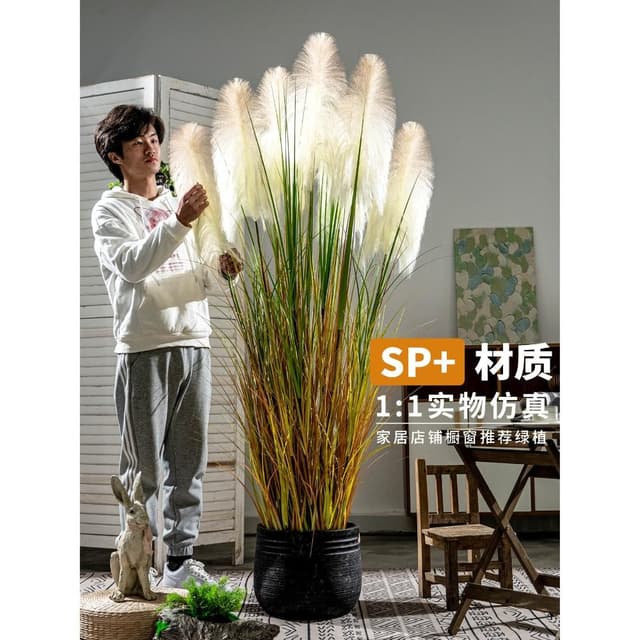 新款高檔蘆葦草仿真花植物假樹室內客廳仿生綠植造景盆栽裝飾擺件