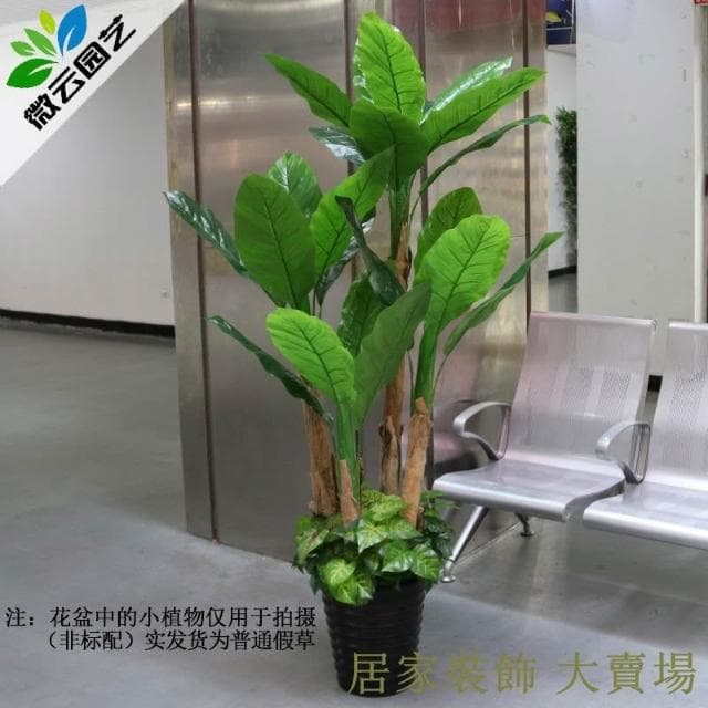 仿真綠植 樹 龜背葉 琴葉榕 芭蕉樹仿真植物盆栽客廳假樹塑料大型裝飾椰子綠植仿真樹落地盆景