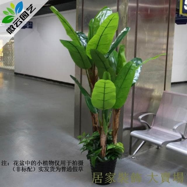 仿真綠植 樹 龜背葉 琴葉榕 芭蕉樹仿真植物盆栽客廳假樹塑料大型裝飾椰子綠植仿真樹落地盆景