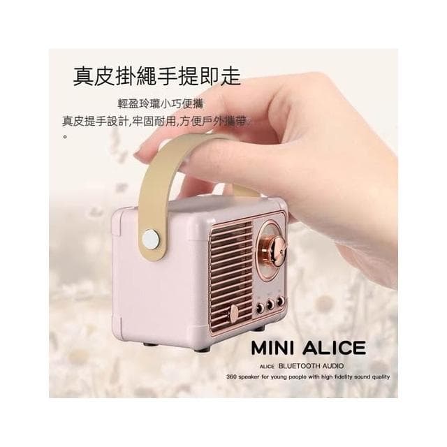 🍁娘小娘精選好貨🎀 戶外 室外 汽車音響 藍牙音箱 USB 戶外重低音喇叭 藍芽喇叭 藍芽音響 手提音響