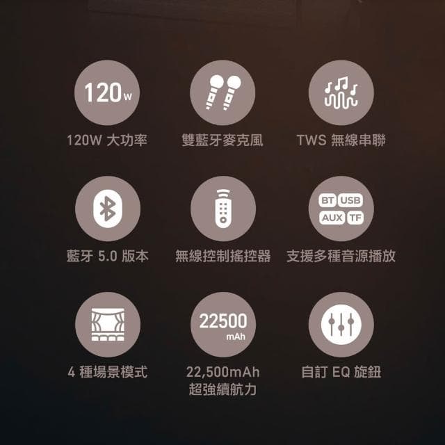 【AIWA 愛華】AIWA 愛華 藍牙喇叭/無線音響 唱歌/廣播/教學 一機多用 附雙麥克風 MI-X450 Pro ENIGMA