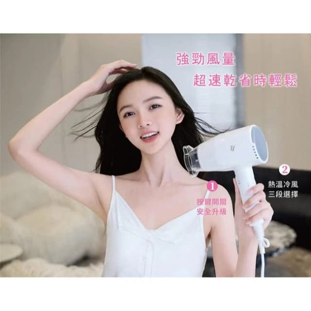 【達新牌】達新牌 飯店/民宿 (按鍵開關) 速乾 掛壁式/壁掛式 吹風機/整髮器 TS-1899P 替代TS-1399