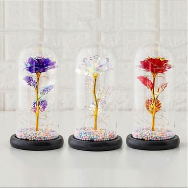 【VENCEDOR】玻璃罩玫瑰花-帶小燈飾 情人節禮物 畢業禮品 生日送禮 禮盒組-2入