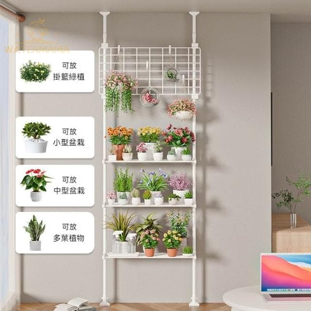 多肉花架置物架 陽臺層架 頂天立地客廳支撐杆 展示架室內植物擺放架 陽台置物架 植栽架 窗臺 花架壁掛植物架 植物掛架