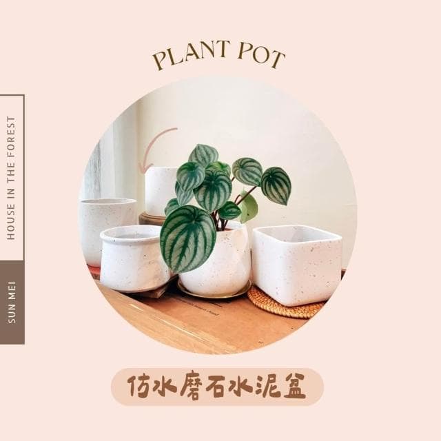 水泥盆 仿水磨石橢圓盆 水泥材質花盆 北歐風盆栽 觀葉植物適用 水磨石紋理 多肉專用盆