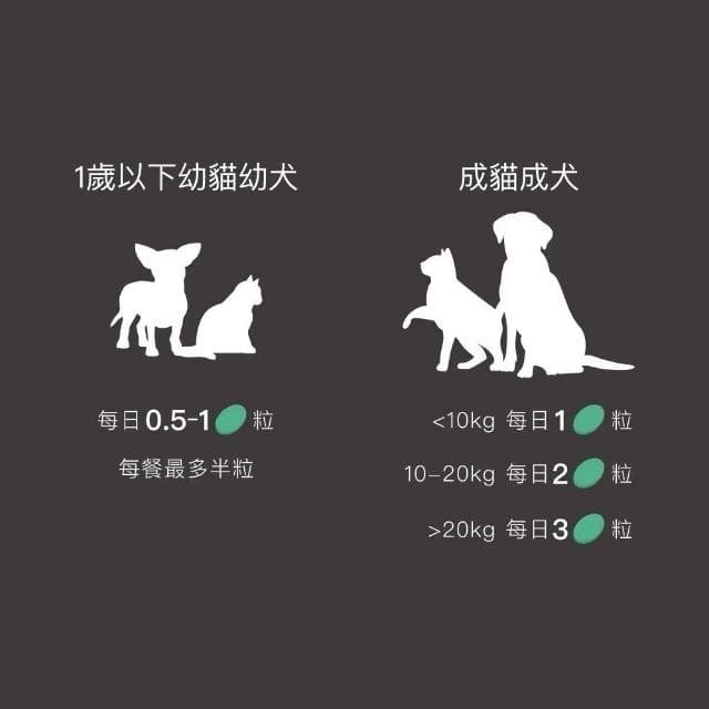 【MORESON 木入森】貓咪 全方位保養 護膚亮毛 高EPA寵物魚油 60顆/盒 (補充營養 貓咪保健品 貓咪保養品 寵物魚油 貓咪魚油)