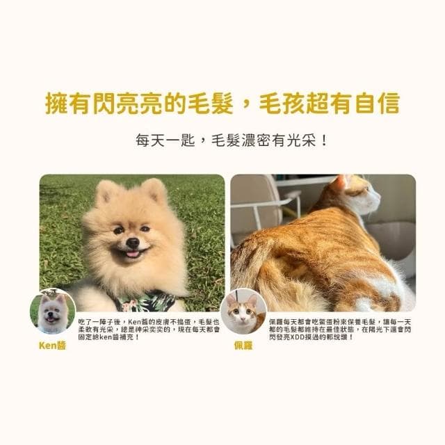 【汪喵星球】亮毛護膚鱉蛋粉 60G(護膚 亮毛 皮毛保健 貓咪保健品 貓咪保養品)